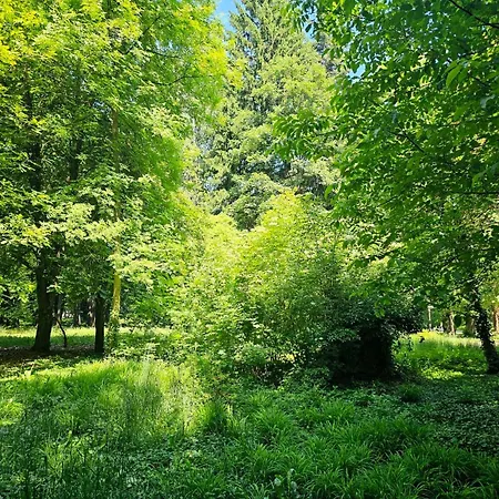 Gardenia Park 호텔